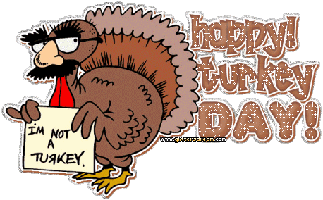 happy turkey day  